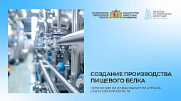 Создание производства пищевого белка - ознакомительный фрагмент презентации - 1